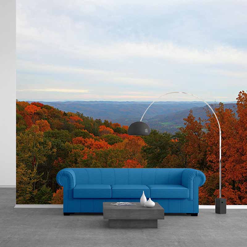 Mildew Resistant Wall Mural Wallpaper Forest Landscapes Pattern for Home