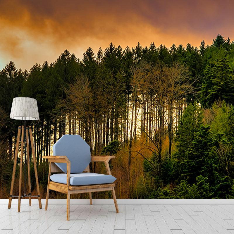 Forest Dense Wallpaper Mural for Bedroom, Water Resistant, Custom Size Available