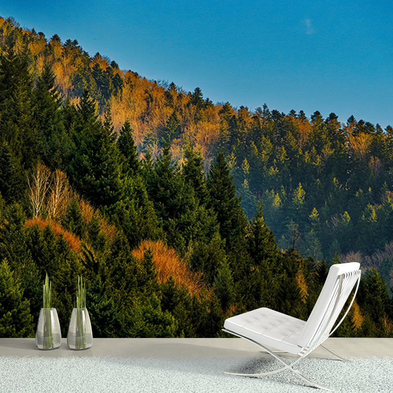 Forest Dense Wallpaper Mural for Bedroom, Water Resistant, Custom Size Available