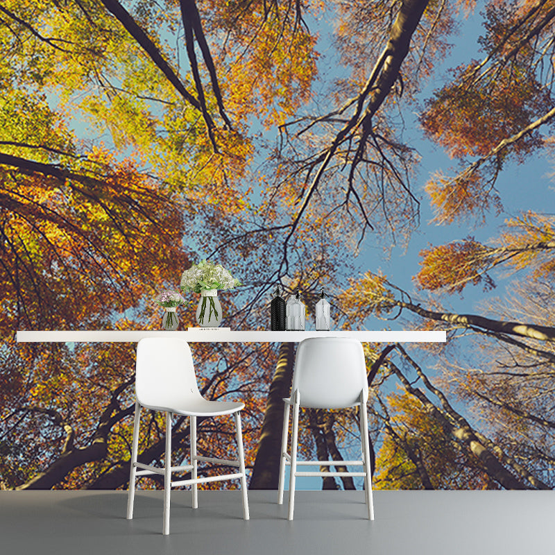 Forest Dense Wallpaper Mural for Bedroom, Water Resistant, Custom Size Available