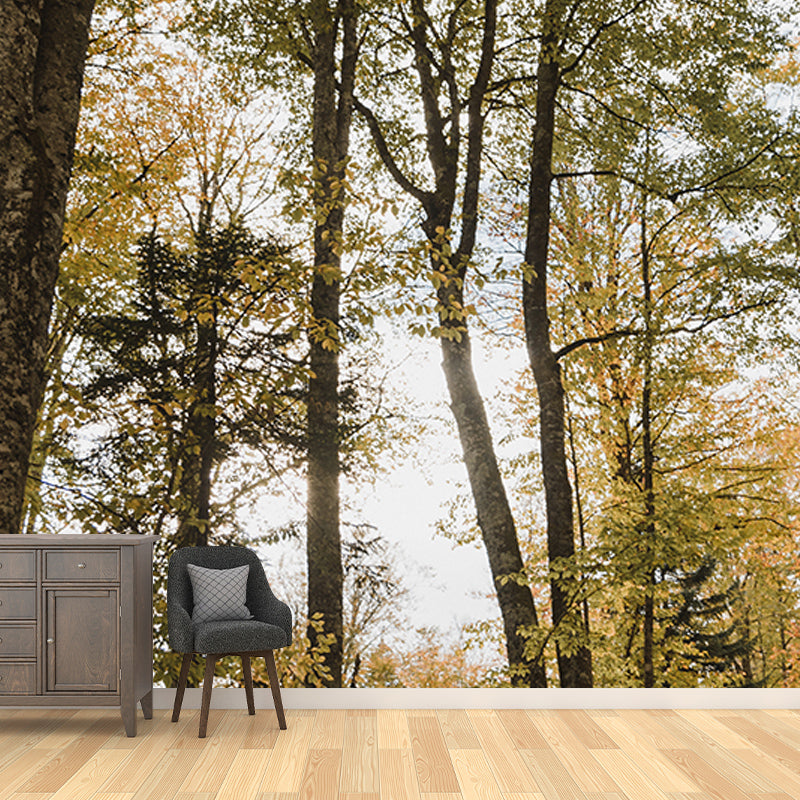 Dense Forest Wall Mural Decal for Living Room, Moisture Resistant, Custom Size Available