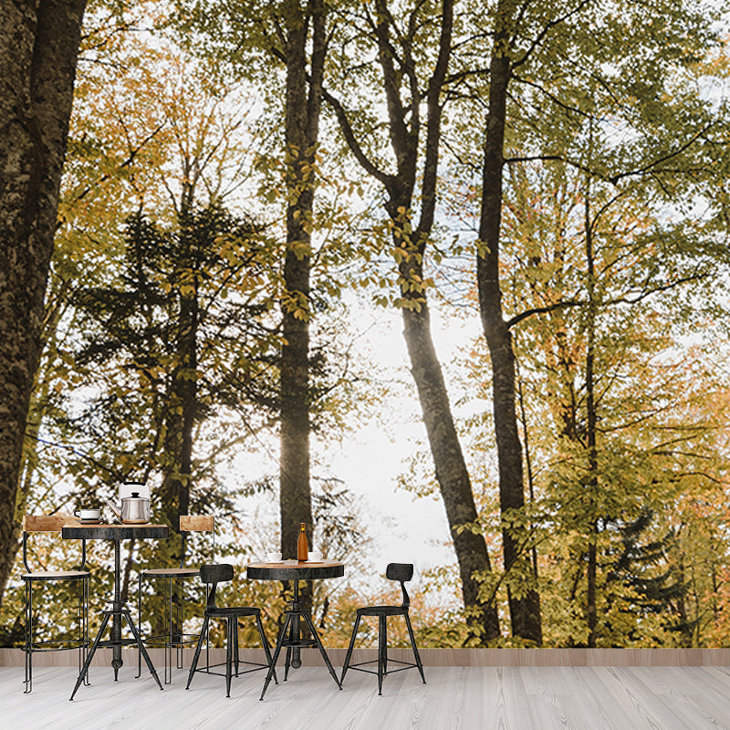 Dense Forest Wall Mural Decal for Living Room, Moisture Resistant, Custom Size Available