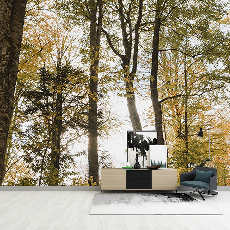 Dense Forest Wall Mural Decal for Living Room, Moisture Resistant, Custom Size Available