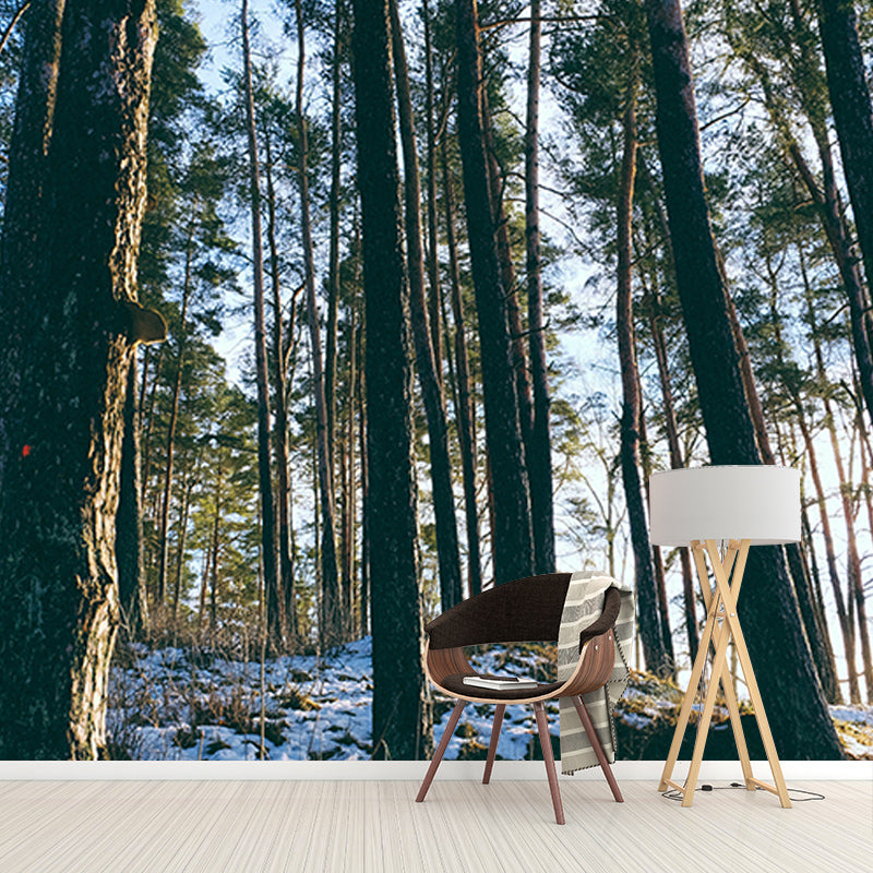 Dense Forest Wall Mural Decal for Living Room, Moisture Resistant, Custom Size Available