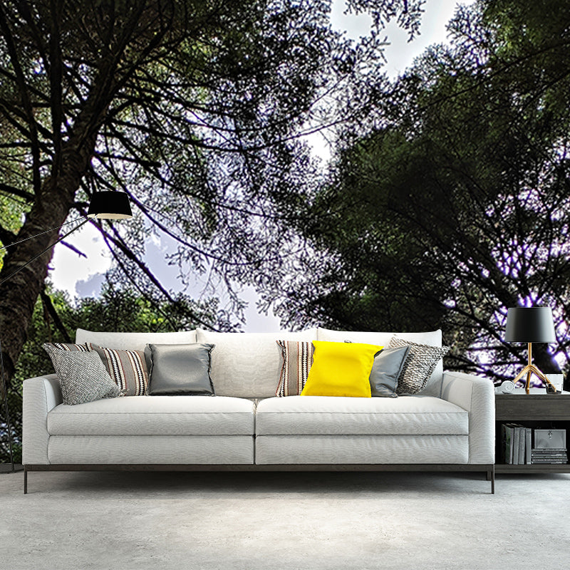 Dense Forest Wall Mural Decal for Living Room, Moisture Resistant, Custom Size Available