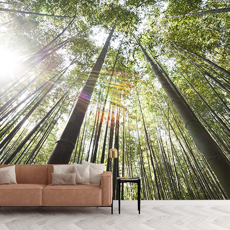 Forest Photo Mural Wallpaper for Reading Room, Moisture Resistant, Personalized