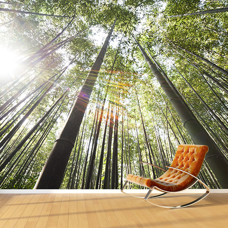 Forest Photo Mural Wallpaper for Reading Room, Moisture Resistant, Personalized