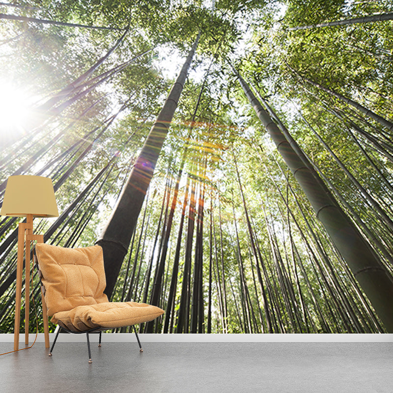 Forest Photo Mural Wallpaper for Reading Room, Moisture Resistant, Personalized