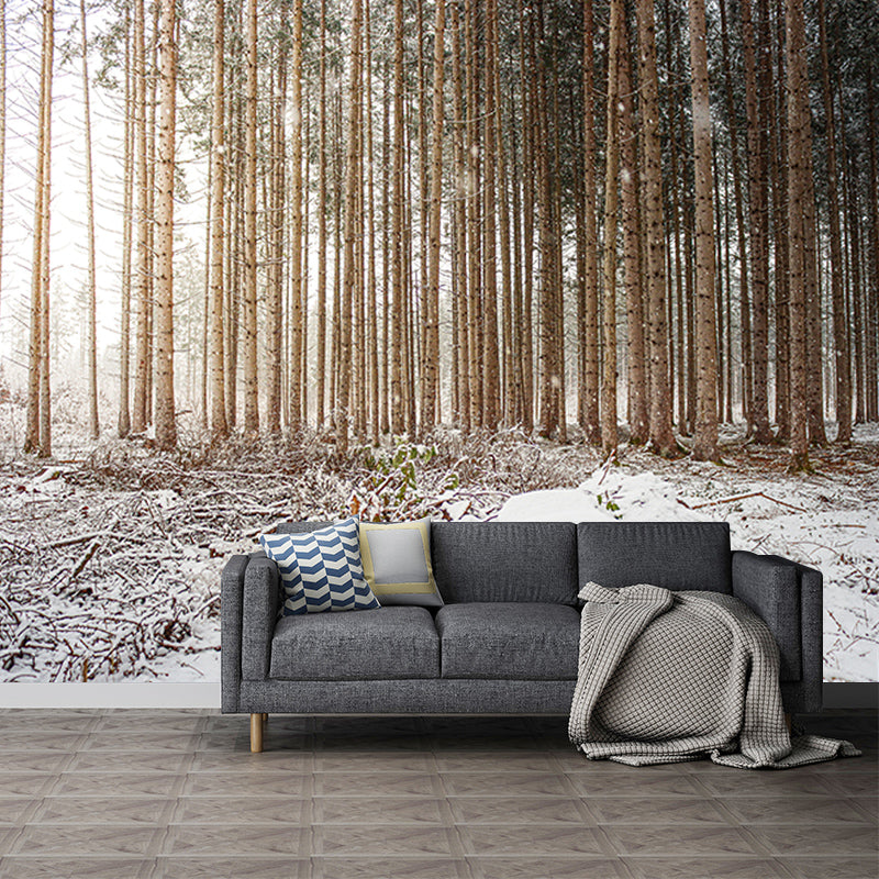 Forest Photo Mural Wallpaper for Reading Room, Moisture Resistant, Personalized