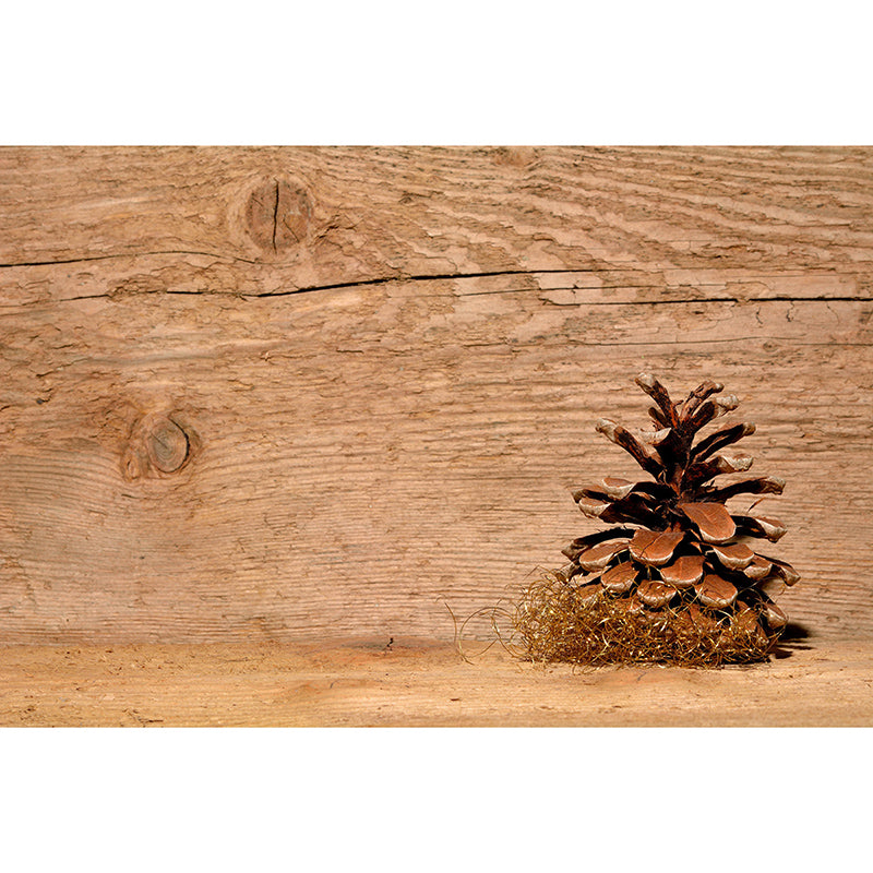 Horizontal Photography Industrial Wood Grain Mural Wallpaper Room Wall Art