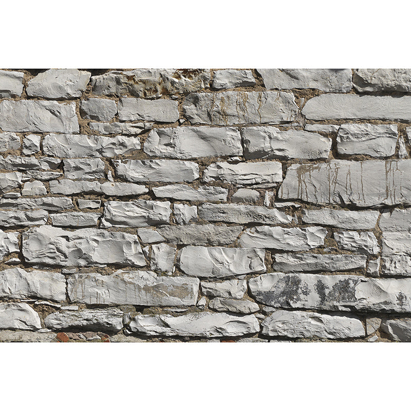 Brick Wall Mural Industrial Wallpaper Horizontal Photography Living Room Wall Covering