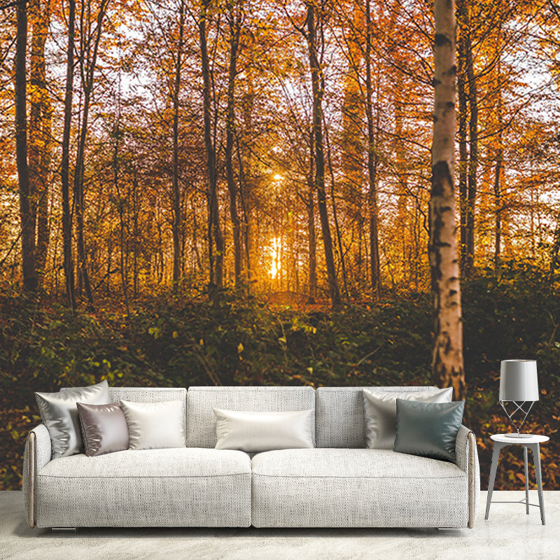 Contemporary Photography Forest Wall Mural Wallpaper Sleeping Room Wall Art