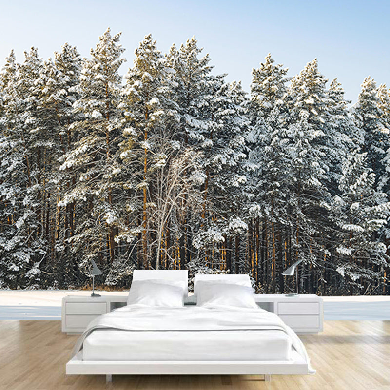 Contemporary Photography Forest Wall Mural Wallpaper Sleeping Room Wall Art