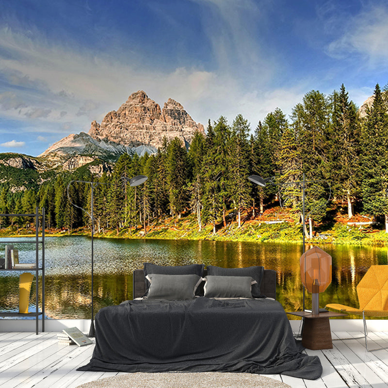 Forest Wallpaper Contemporary Photography Wall Mural Sitting Room Wall Covering