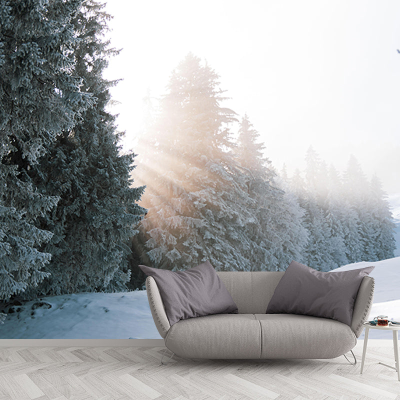 Forest Wallpaper Contemporary Photography Wall Mural Sitting Room Wall Covering