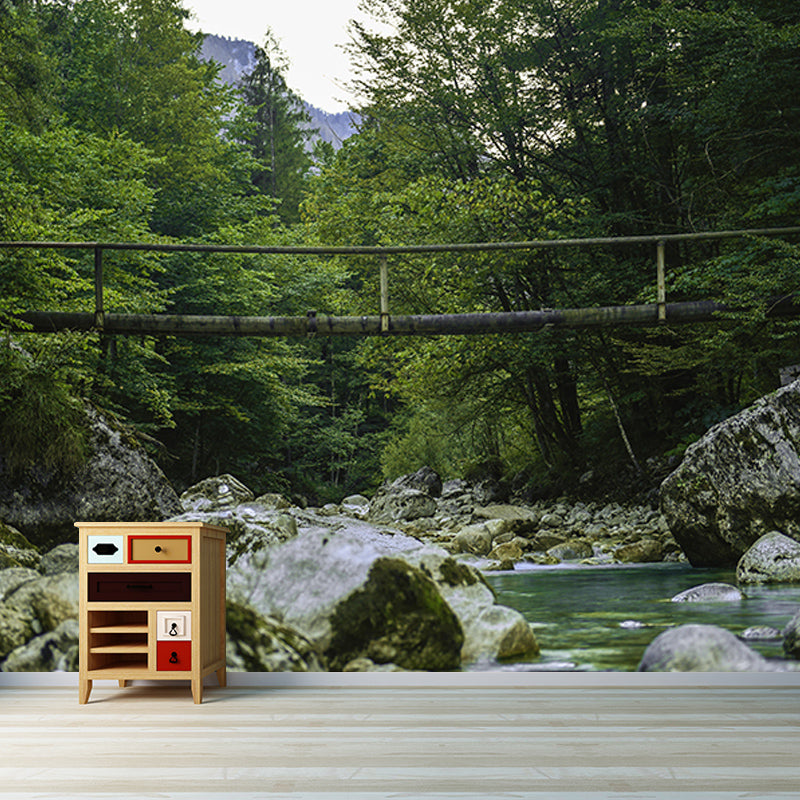 Contemporary Photography Forest Wall Mural Wallpaper Sitting Room Wall Art