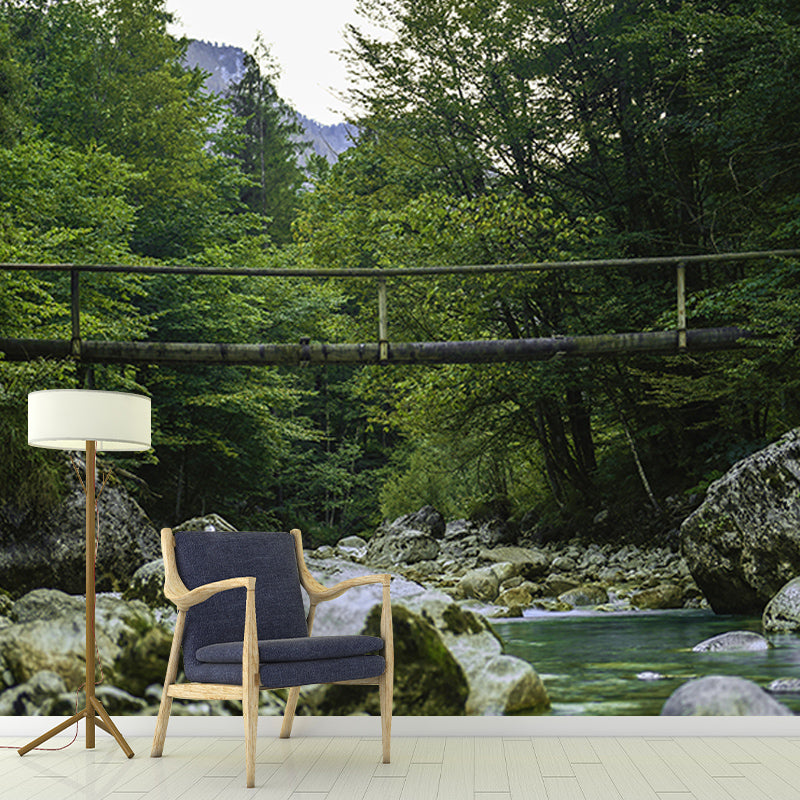 Contemporary Photography Forest Wall Mural Wallpaper Sitting Room Wall Art