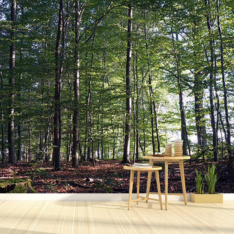 Contemporary Photography Forest Wall Mural Wallpaper Sitting Room Wall Art