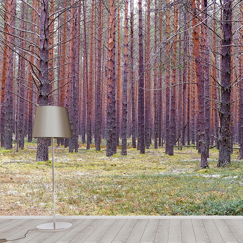 Wallpaper Contemporary Photography Forest Wall Mural Bathroom Wall Covering