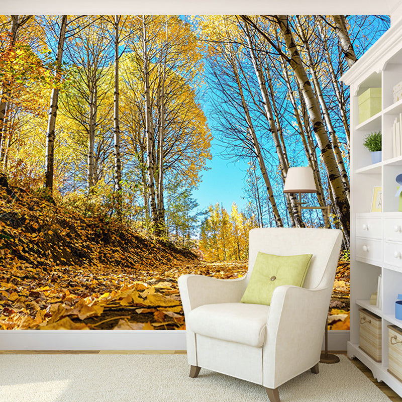 Wallpaper Contemporary Photography Forest Wall Mural Bathroom Wall Covering