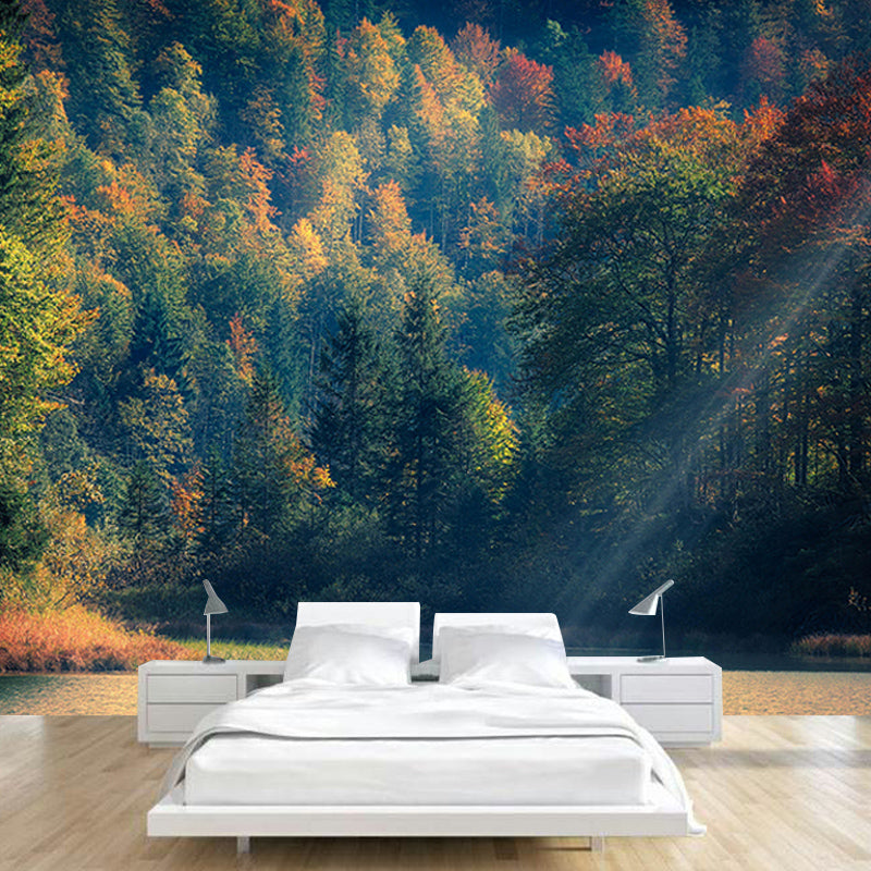 Wallpaper Contemporary Photography Forest Wall Mural Bathroom Wall Covering