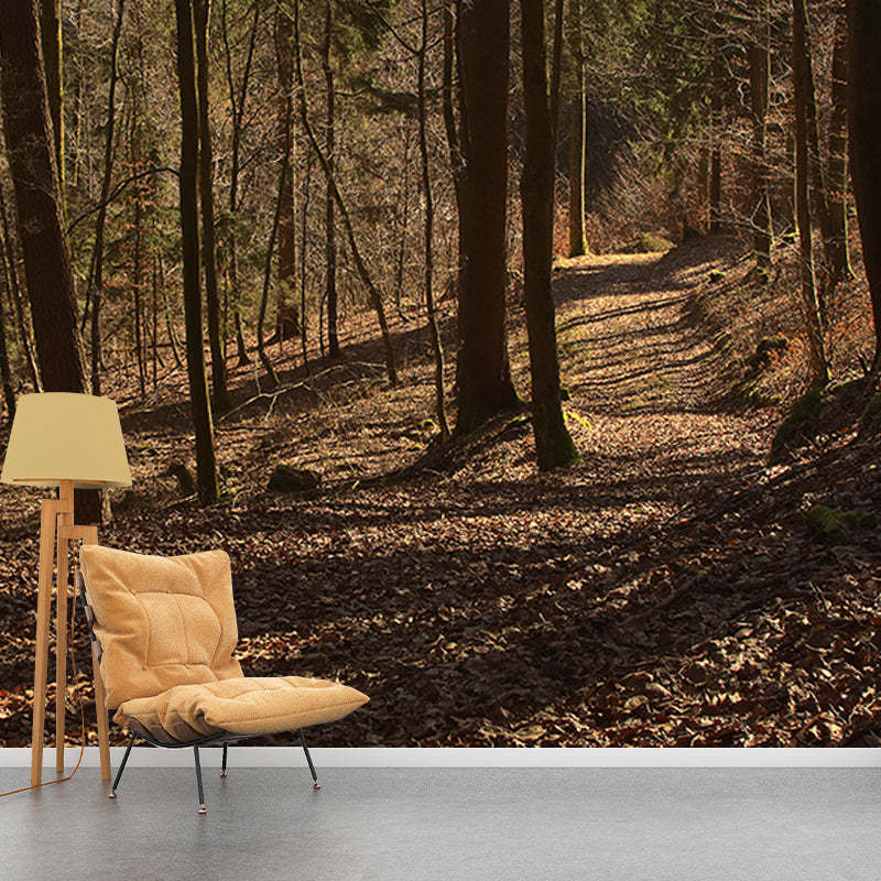 Wall Art Mural Photography Forest Wall Mural Wallpaper Bathroom