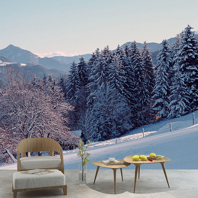 Wall Art Contemporary Forest Photography Wall Mural Wallpaper Dining Room