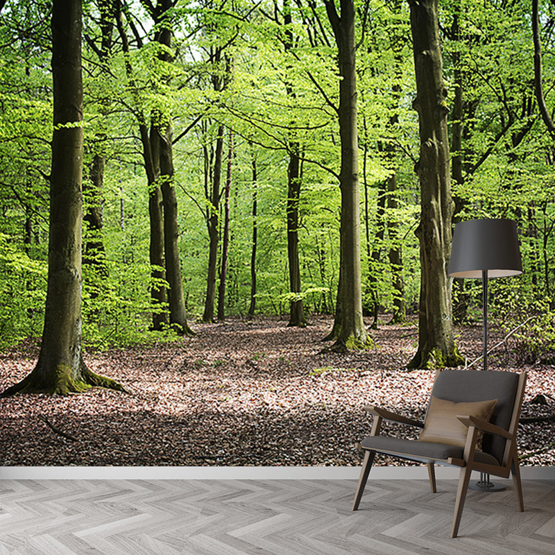 Wall Covering Contemporary Photography Forest Wall Mural Wallpaper Bedroom