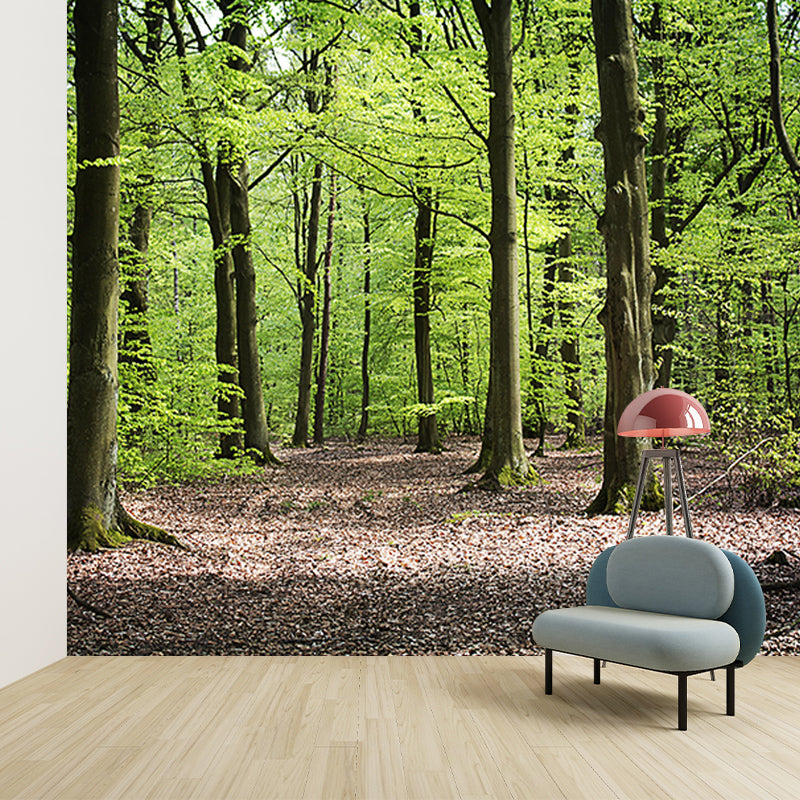 Wall Covering Contemporary Photography Forest Wall Mural Wallpaper Bedroom