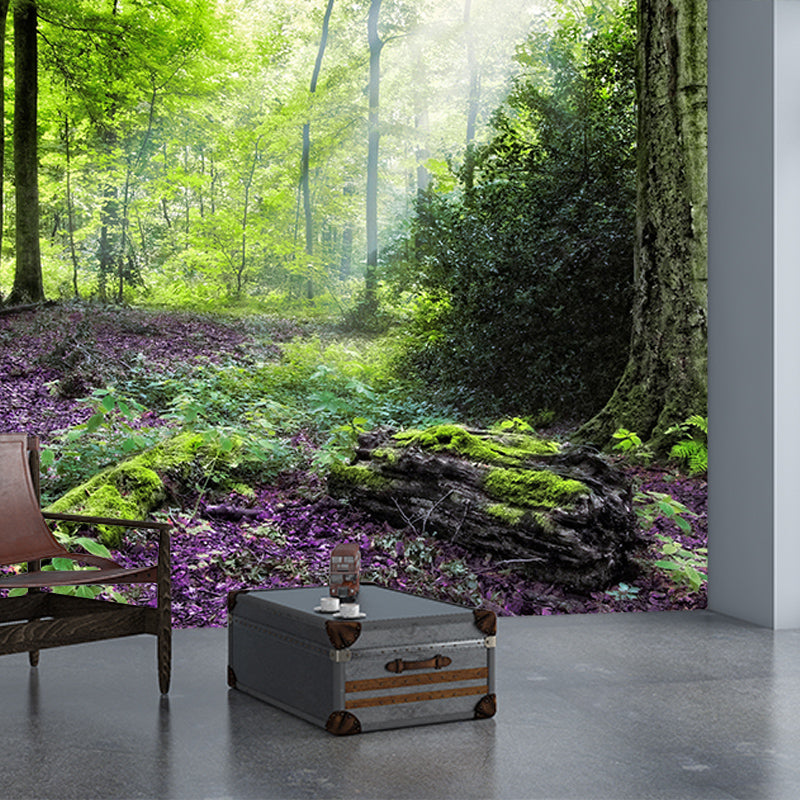 Living Room Contemporary Photography Forest Wall Mural Wallpaper Wall Covering