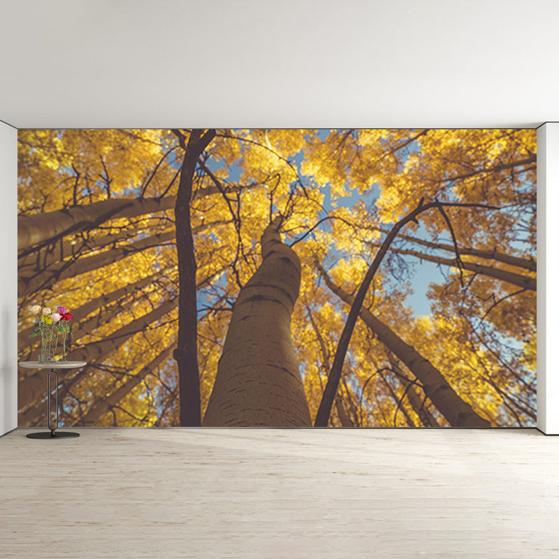 Living Room Contemporary Photography Forest Wall Mural Wallpaper Wall Covering