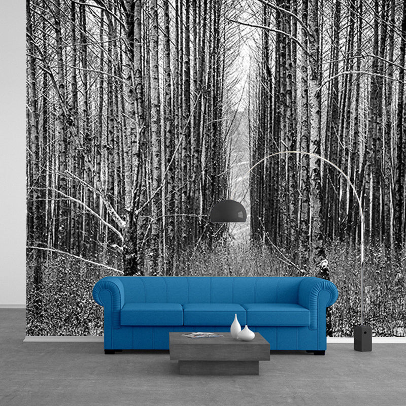 Contemporary Photography Forest Wall Mural Wallpaper Living Room Wall Art