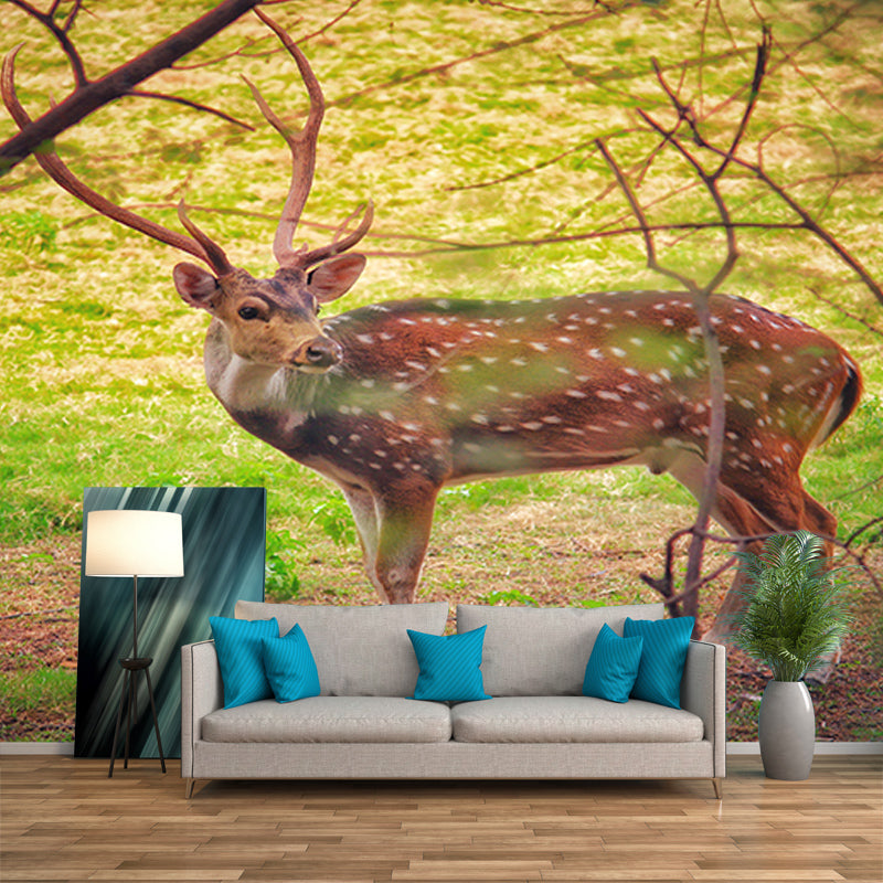 Deer Animal Mural Wallpaper for Bedroom Decor Moisture Resistant, Made to Measure
