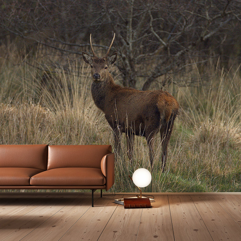 Deer Animal Mural Wallpaper for Bedroom Decor Moisture Resistant, Made to Measure