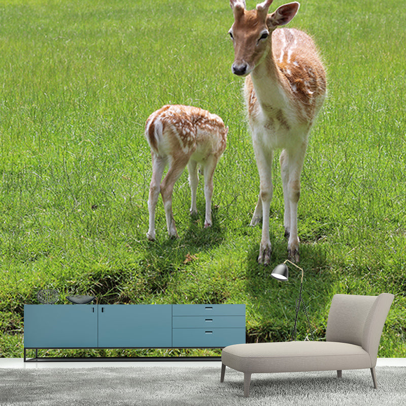 Deer Animal Mural Wallpaper for Bedroom Decor Moisture Resistant, Made to Measure