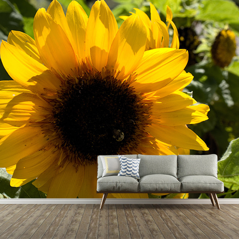 Sunflower Flower Mural Wallpaper for Bedroom Decorative Wall Art, Personalized Size