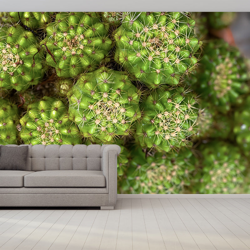 Cactus Plant Murals Wallpaper for Living Room Moisture Resistant, Custom Size Available