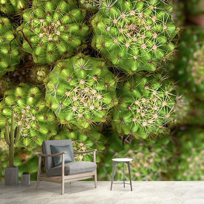 Cactus Plant Murals Wallpaper for Living Room Moisture Resistant, Custom Size Available