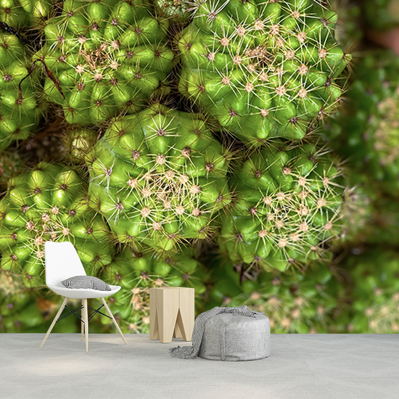 Cactus Plant Murals Wallpaper for Living Room Moisture Resistant, Custom Size Available