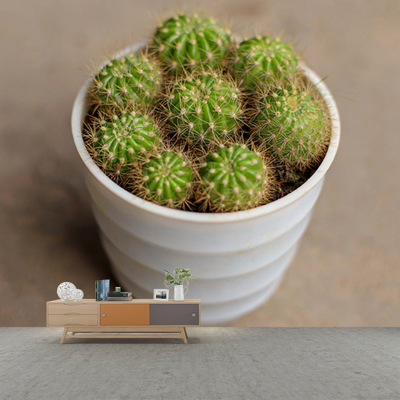 Cactus Plant Murals Wallpaper for Living Room Moisture Resistant, Custom Size Available
