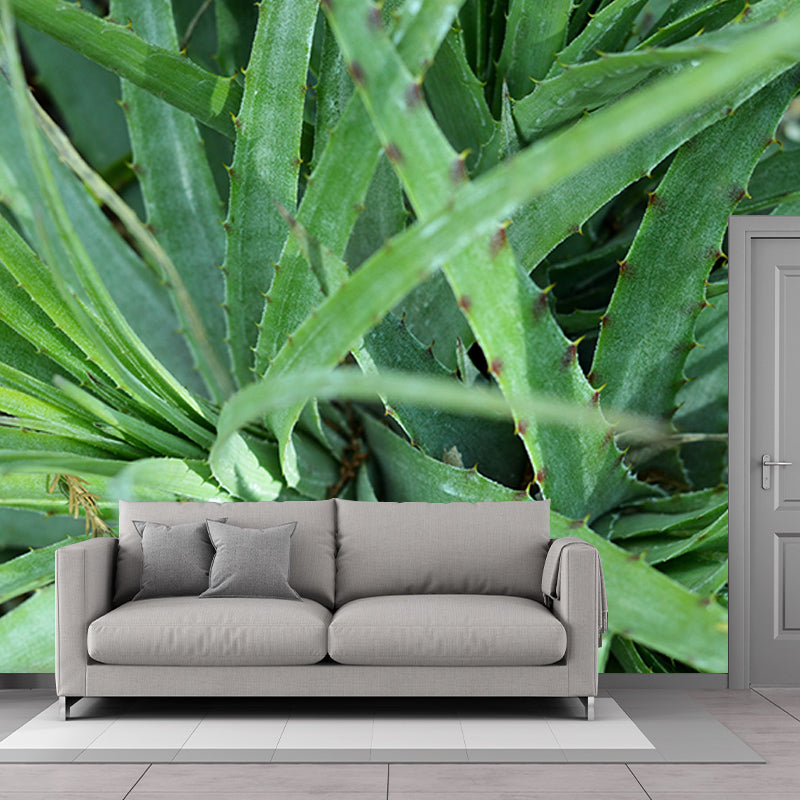 Agave Plant Wall Covering for Living Room Bedroom Home Decor, Customized Size