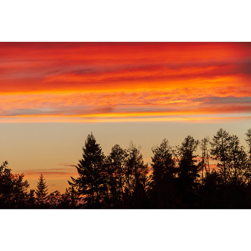 Mildew Resistant Mural Wallpaper Sky Landscapes Pattern for Wall Decor