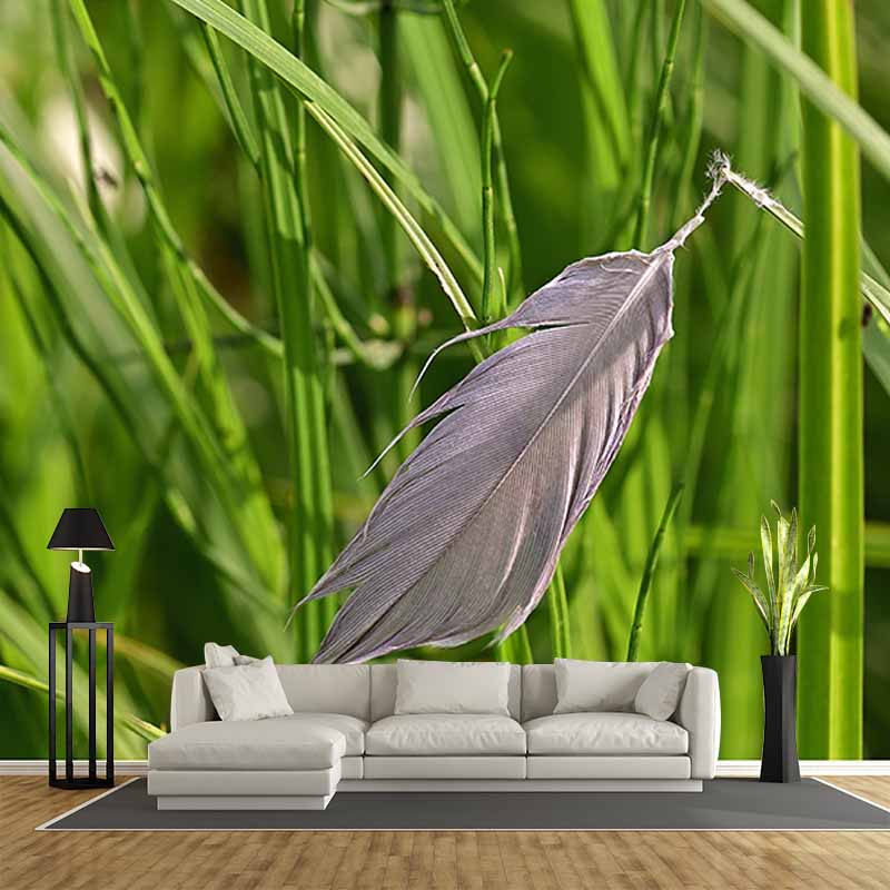 Simple Feather Photography Wall Murals Moisture Resistant, Made to Measure