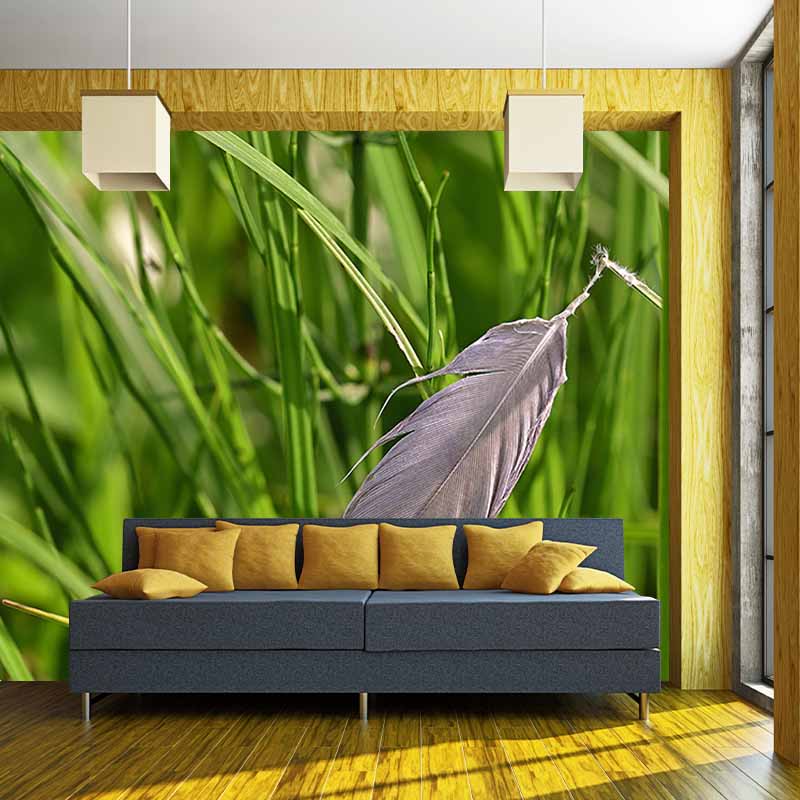 Simple Feather Photography Wall Murals Moisture Resistant, Made to Measure