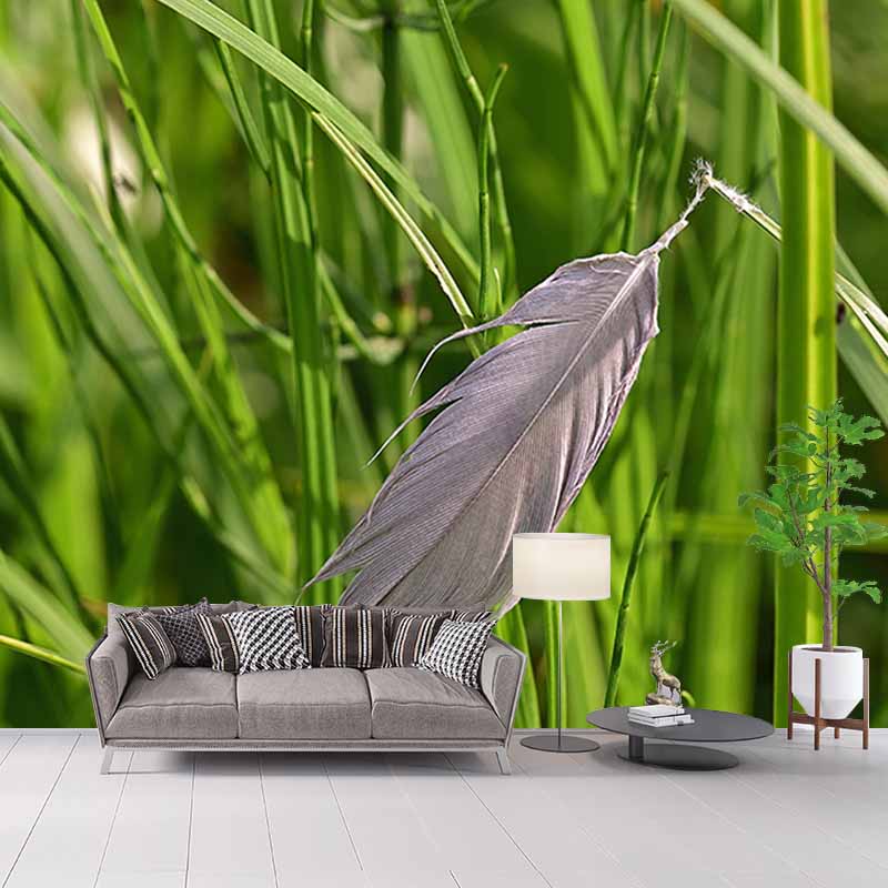 Simple Feather Photography Wall Murals Moisture Resistant, Made to Measure