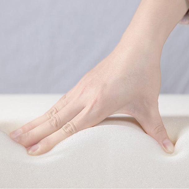 Glam – chaise d'appoint à dossier solide pour chambre à coucher, en velours, finition mate, avec pieds dorés