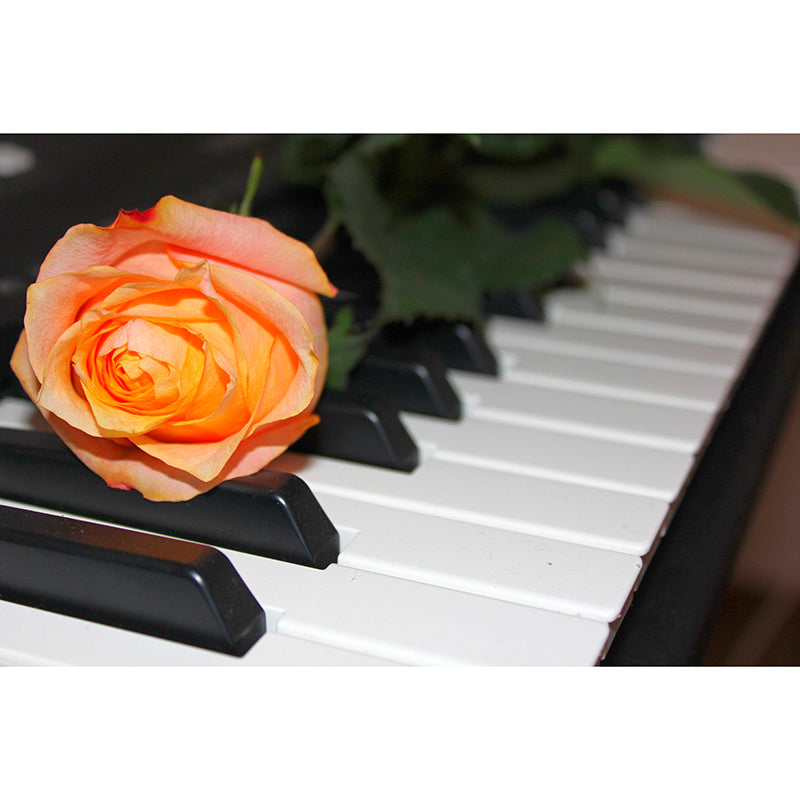 Environment Friendly Piano Hobby Mural Decorative Wallpaper for Living Room