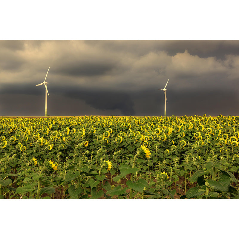 Windmill Horizontal Photography Mural Wallpaper Eco-friendly for Bedroom