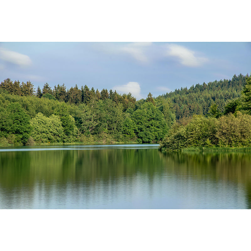 Modern Forest Wall Mural Decorative Eco-friendly Wall Covering