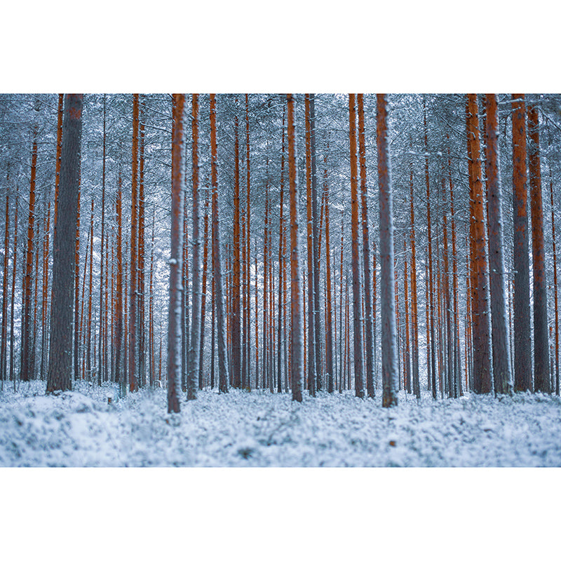 Dining Room Wall Mural Modern Forest Decorative Eco-friendly Wall Covering